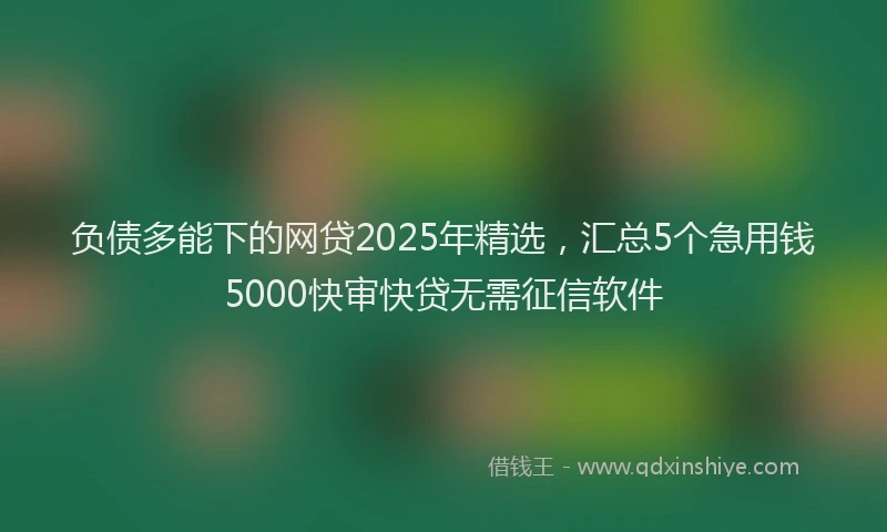 负债多能下的网贷2025年精选，汇总5个急用钱5000快审快贷无需征信软件