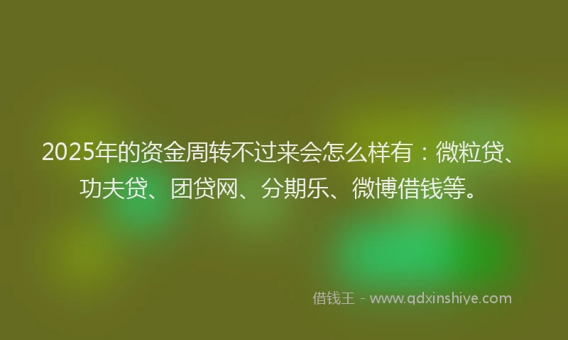 2025年的资金周转不过来会怎么样有：微粒贷、功夫贷、团贷网、分期乐、微博借钱等。