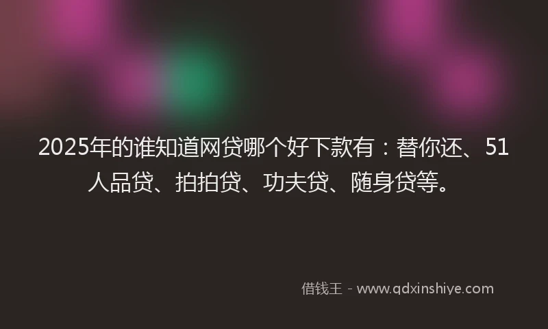 2025年的谁知道网贷哪个好下款有：替你还、51人品贷、拍拍贷、功夫贷、随身贷等。