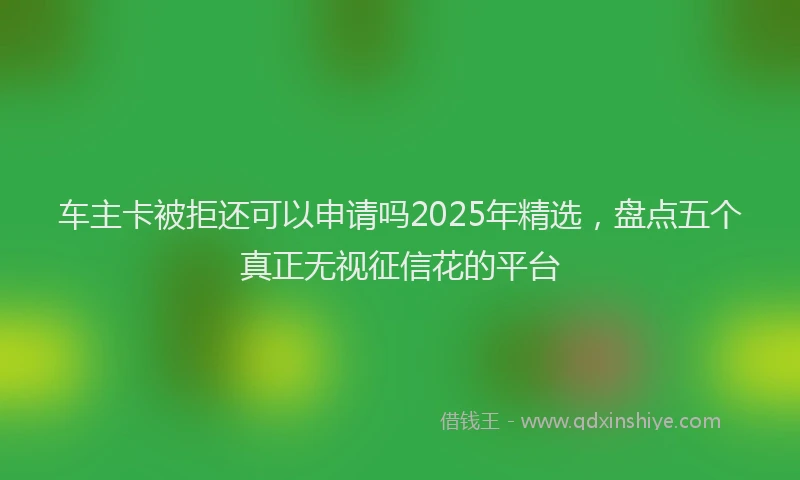 车主卡被拒还可以申请吗2025年精选，盘点五个真正无视征信花的平台
