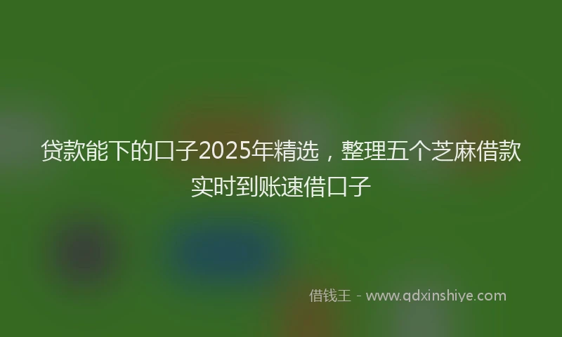 贷款能下的口子2025年精选，整理五个芝麻借款实时到账速借口子
