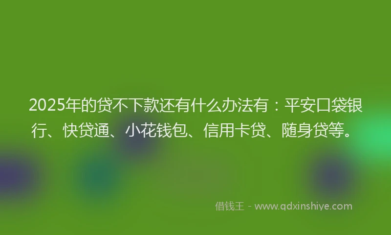 2025年的贷不下款还有什么办法有：平安口袋银行、快贷通、小花钱包、信用卡贷、随身贷等。
