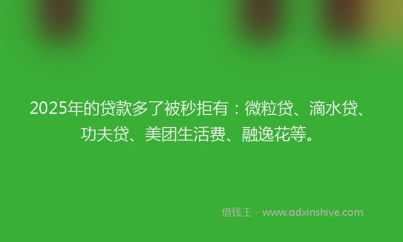 2025年的贷款多了被秒拒有：微粒贷、滴水贷、功夫贷、美团生活费、融逸花等。