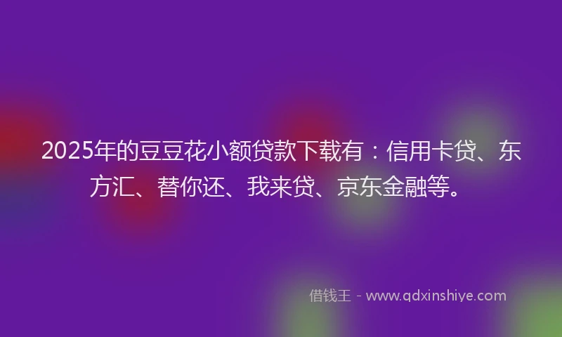 2025年的豆豆花小额贷款下载有：信用卡贷、东方汇、替你还、我来贷、京东金融等。