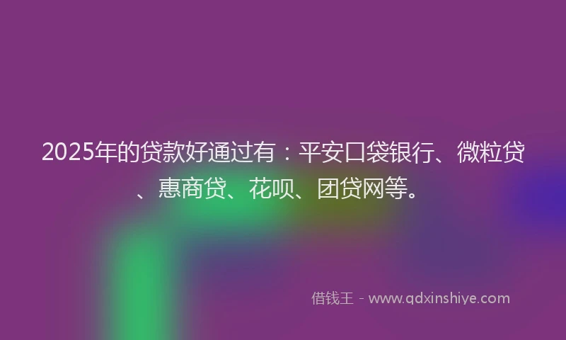 2025年的贷款好通过有：平安口袋银行、微粒贷、惠商贷、花呗、团贷网等。