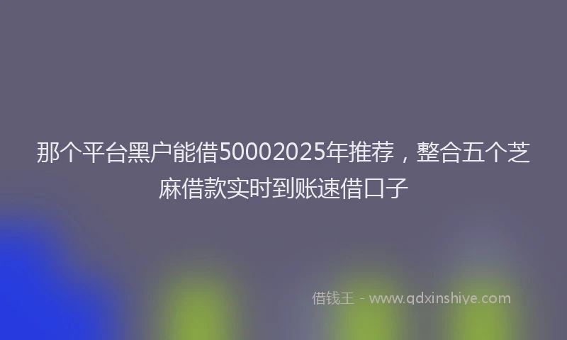 那个平台黑户能借50002025年推荐，整合五个芝麻借款实时到账速借口子