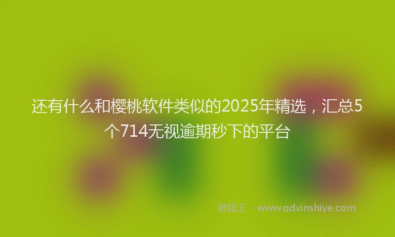 还有什么和樱桃软件类似的2025年精选，汇总5个714无视逾期秒下的平台