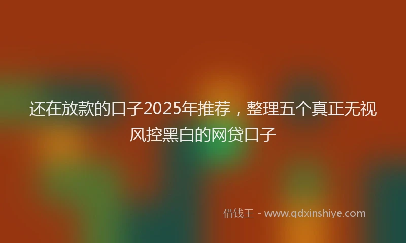 还在放款的口子2025年推荐，整理五个真正无视风控黑白的网贷口子