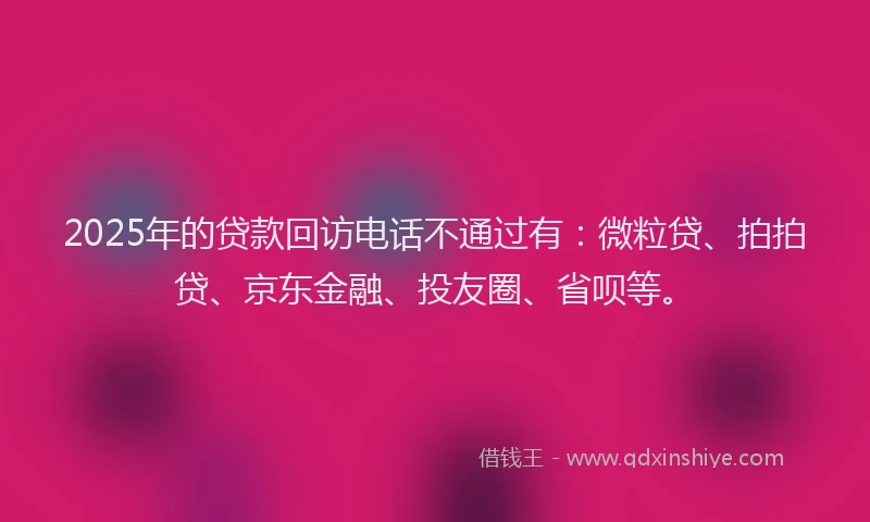 2025年的贷款回访电话不通过有：微粒贷、拍拍贷、京东金融、投友圈、省呗等。