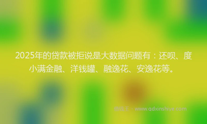 2025年的贷款被拒说是大数据问题有：还呗、度小满金融、洋钱罐、融逸花、安逸花等。