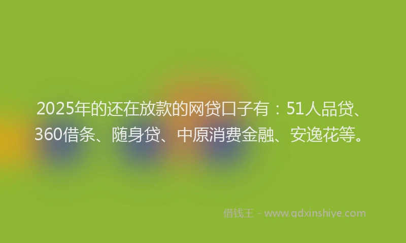 2025年的还在放款的网贷口子有：51人品贷、360借条、随身贷、中原消费金融、安逸花等。