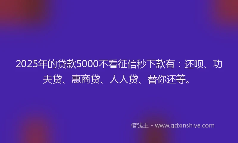 2025年的贷款5000不看征信秒下款有：还呗、功夫贷、惠商贷、人人贷、替你还等。