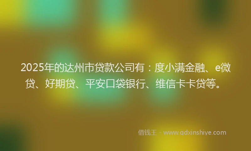 2025年的达州市贷款公司有：度小满金融、e微贷、好期贷、平安口袋银行、维信卡卡贷等。