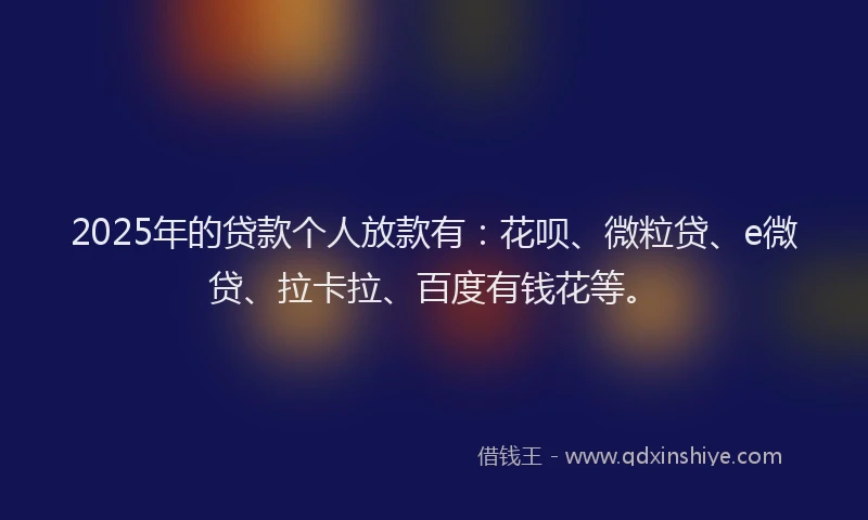 2025年的贷款个人放款有：花呗、微粒贷、e微贷、拉卡拉、百度有钱花等。