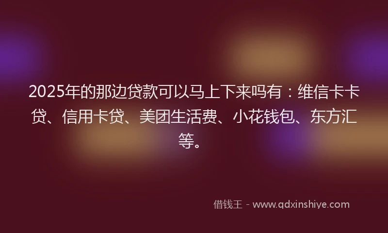 2025年的那边贷款可以马上下来吗有：维信卡卡贷、信用卡贷、美团生活费、小花钱包、东方汇等。