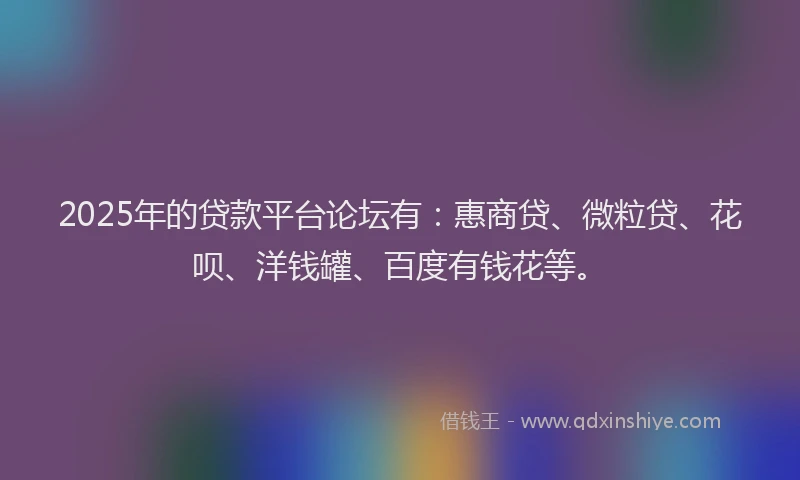 2025年的贷款平台论坛有：惠商贷、微粒贷、花呗、洋钱罐、百度有钱花等。