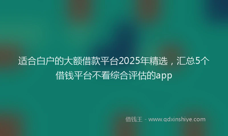 适合白户的大额借款平台2025年精选，汇总5个借钱平台不看综合评估的app