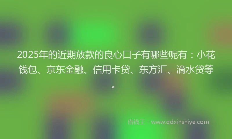 2025年的近期放款的良心口子有哪些呢有：小花钱包、京东金融、信用卡贷、东方汇、滴水贷等。