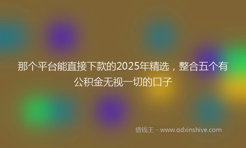 那个平台能直接下款的2025年精选，整合五个有公积金无视一切的口子
