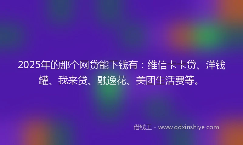 2025年的那个网贷能下钱有：维信卡卡贷、洋钱罐、我来贷、融逸花、美团生活费等。