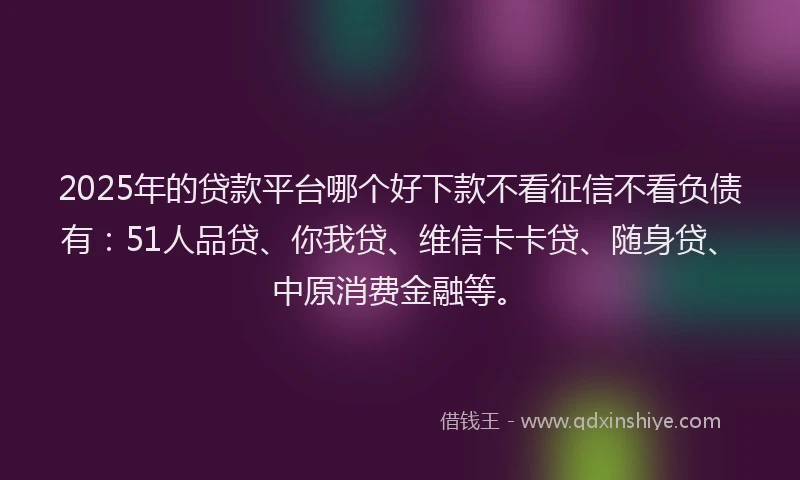 2025年的贷款平台哪个好下款不看征信不看负债有：51人品贷、你我贷、维信卡卡贷、随身贷、中原消费金融等。