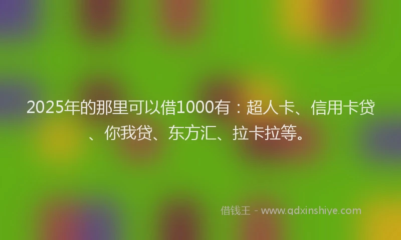 2025年的那里可以借1000有：超人卡、信用卡贷、你我贷、东方汇、拉卡拉等。