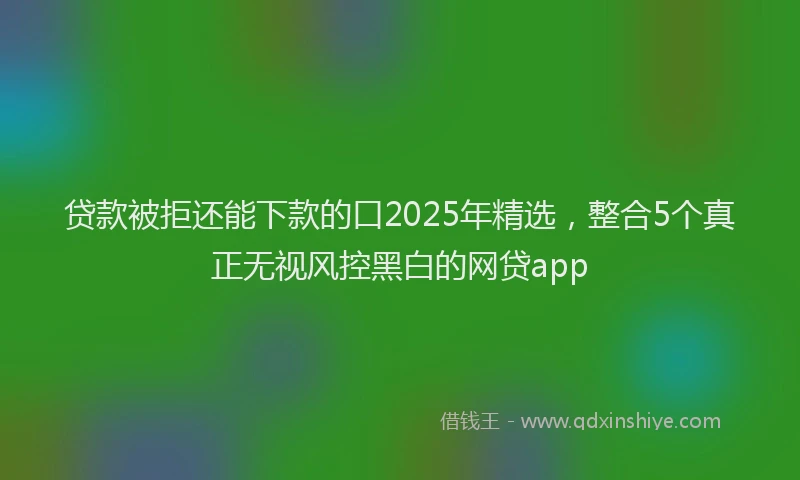 贷款被拒还能下款的口2025年精选，整合5个真正无视风控黑白的网贷app