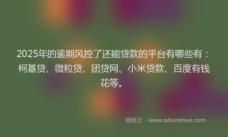 2025年的逾期风控了还能贷款的平台有哪些有：柯基贷、微粒贷、团贷网、小米贷款、百度有钱花等。