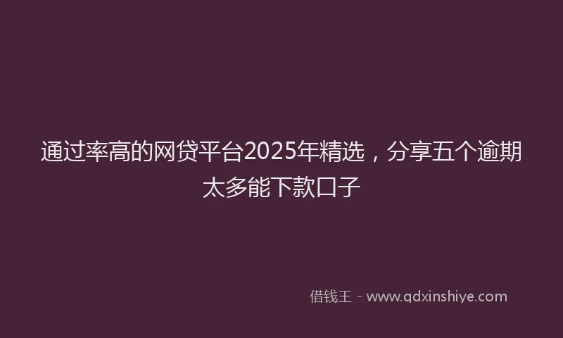 通过率高的网贷平台2025年精选，分享五个逾期太多能下款口子