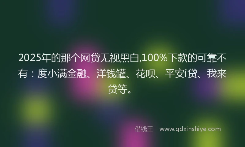 2025年的那个网贷无视黑白,100%下款的可靠不有：度小满金融、洋钱罐、花呗、平安i贷、我来贷等。
