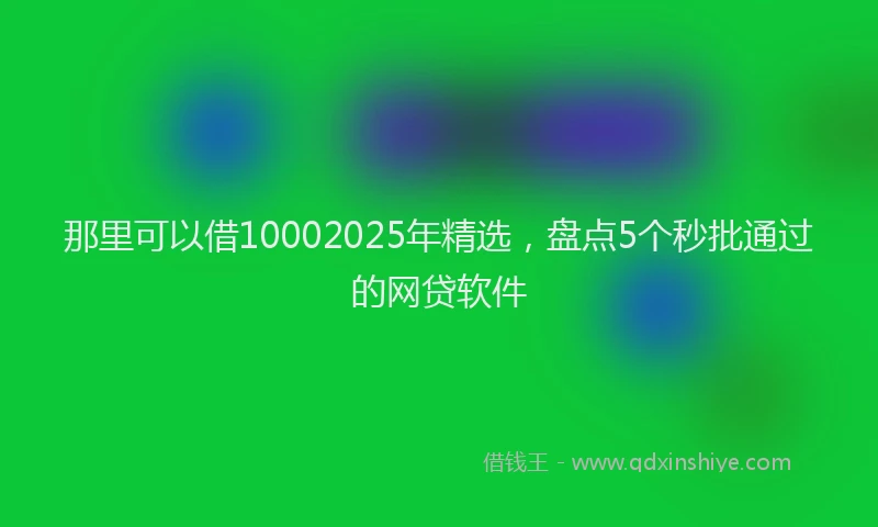 那里可以借10002025年精选，盘点5个秒批通过的网贷软件