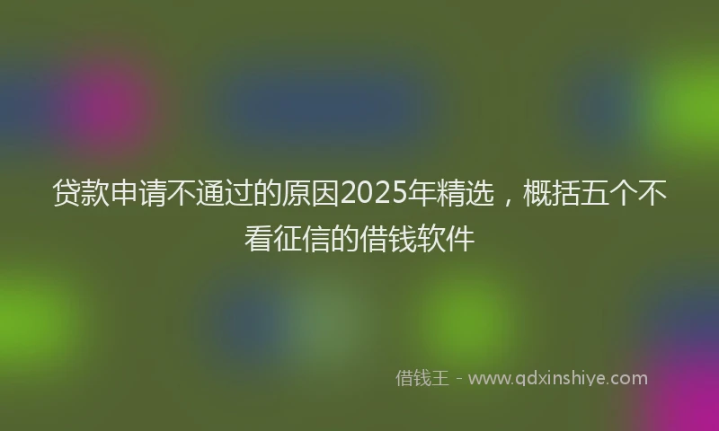 贷款申请不通过的原因2025年精选，概括五个不看征信的借钱软件