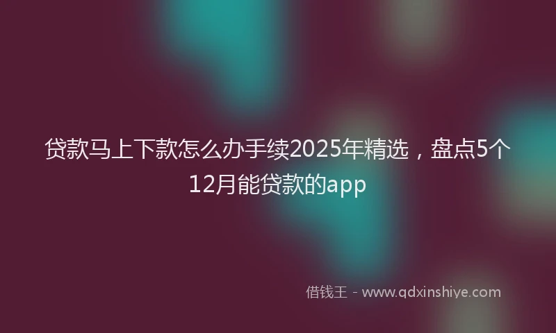贷款马上下款怎么办手续2025年精选，盘点5个12月能贷款的app