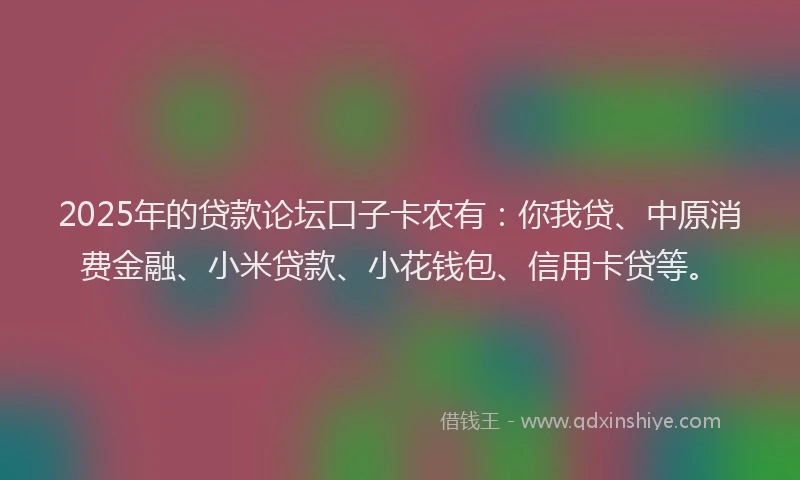 2025年的贷款论坛口子卡农有：你我贷、中原消费金融、小米贷款、小花钱包、信用卡贷等。