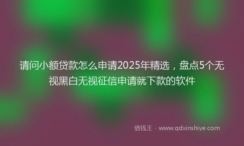 请问小额贷款怎么申请2025年精选，盘点5个无视黑白无视征信申请就下款的软件