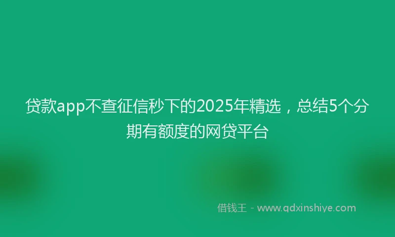 贷款app不查征信秒下的2025年精选，总结5个分期有额度的网贷平台
