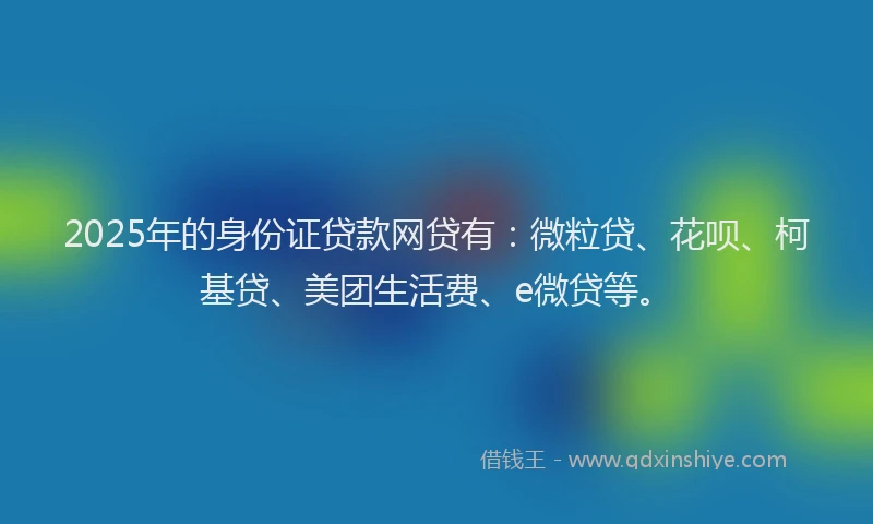 2025年的身份证贷款网贷有：微粒贷、花呗、柯基贷、美团生活费、e微贷等。
