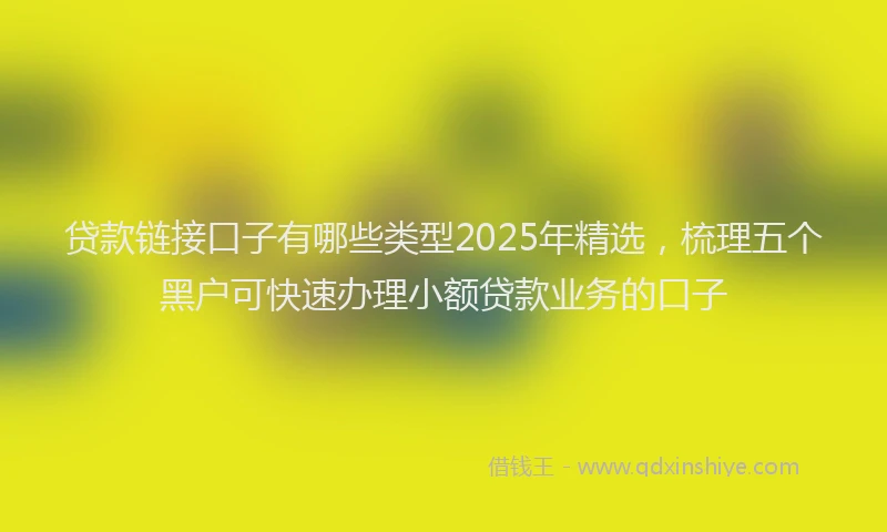 贷款链接口子有哪些类型2025年精选，梳理五个黑户可快速办理小额贷款业务的口子