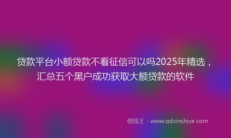 贷款平台小额贷款不看征信可以吗2025年精选，汇总五个黑户成功获取大额贷款的软件