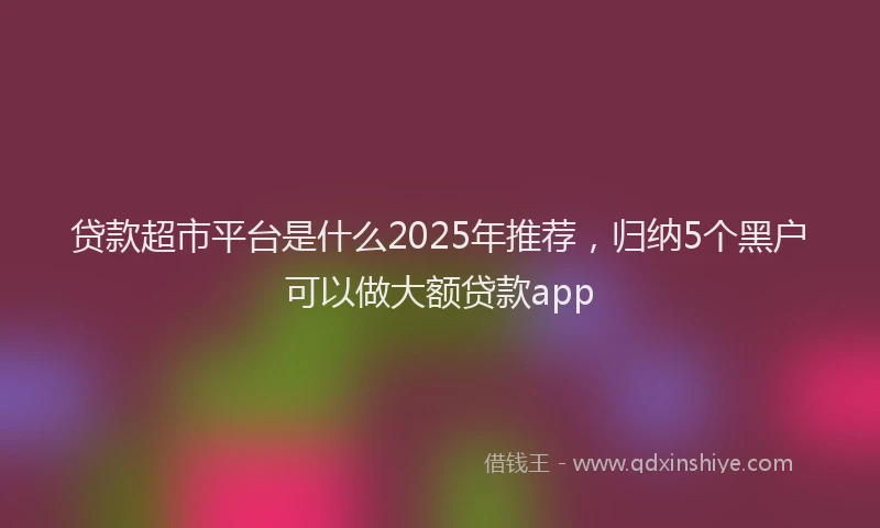 贷款超市平台是什么2025年推荐，归纳5个黑户可以做大额贷款app
