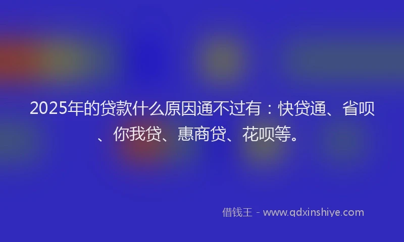 2025年的贷款什么原因通不过有：快贷通、省呗、你我贷、惠商贷、花呗等。