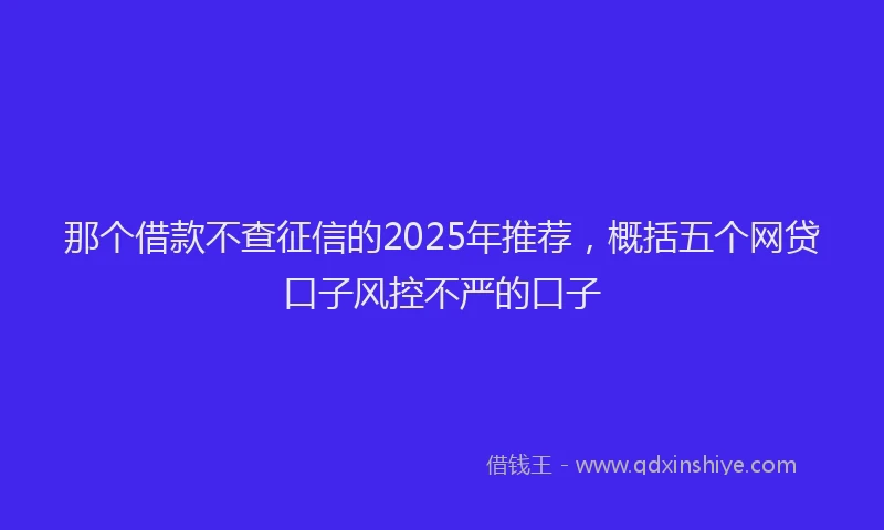 那个借款不查征信的2025年推荐，概括五个网贷口子风控不严的口子