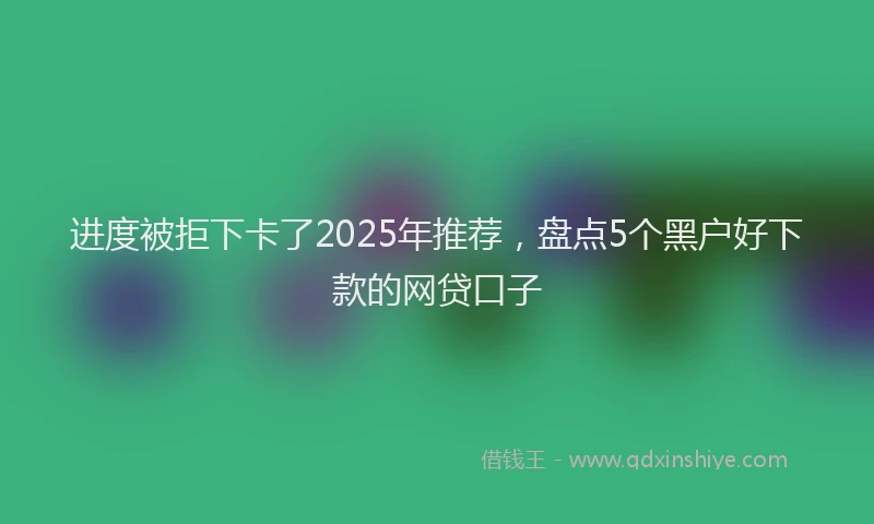 进度被拒下卡了2025年推荐，盘点5个黑户好下款的网贷口子
