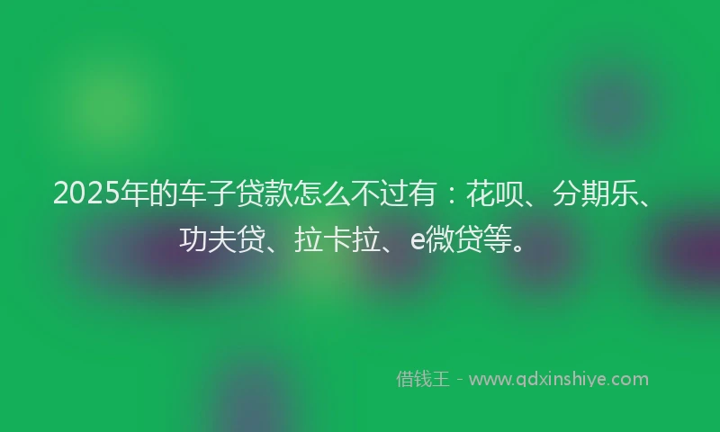 2025年的车子贷款怎么不过有：花呗、分期乐、功夫贷、拉卡拉、e微贷等。