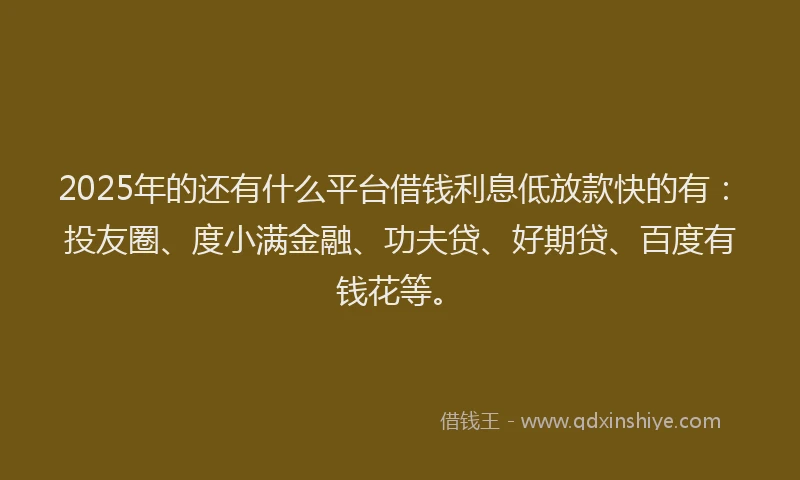 2025年的还有什么平台借钱利息低放款快的有：投友圈、度小满金融、功夫贷、好期贷、百度有钱花等。