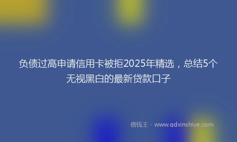 负债过高申请信用卡被拒2025年精选，总结5个无视黑白的最新贷款口子