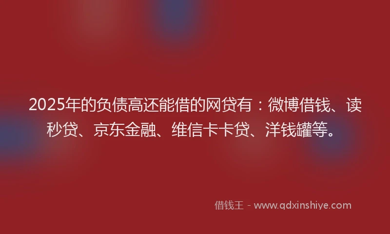 2025年的负债高还能借的网贷有：微博借钱、读秒贷、京东金融、维信卡卡贷、洋钱罐等。