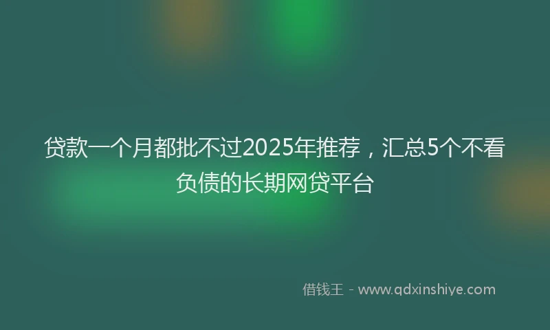 贷款一个月都批不过2025年推荐，汇总5个不看负债的长期网贷平台