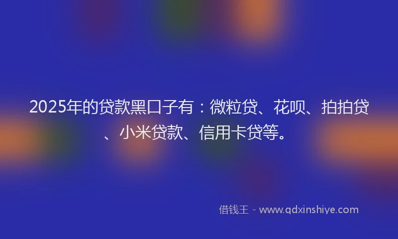 2025年的贷款黑口子有：微粒贷、花呗、拍拍贷、小米贷款、信用卡贷等。