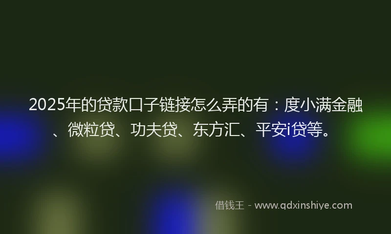 2025年的贷款口子链接怎么弄的有：度小满金融、微粒贷、功夫贷、东方汇、平安i贷等。